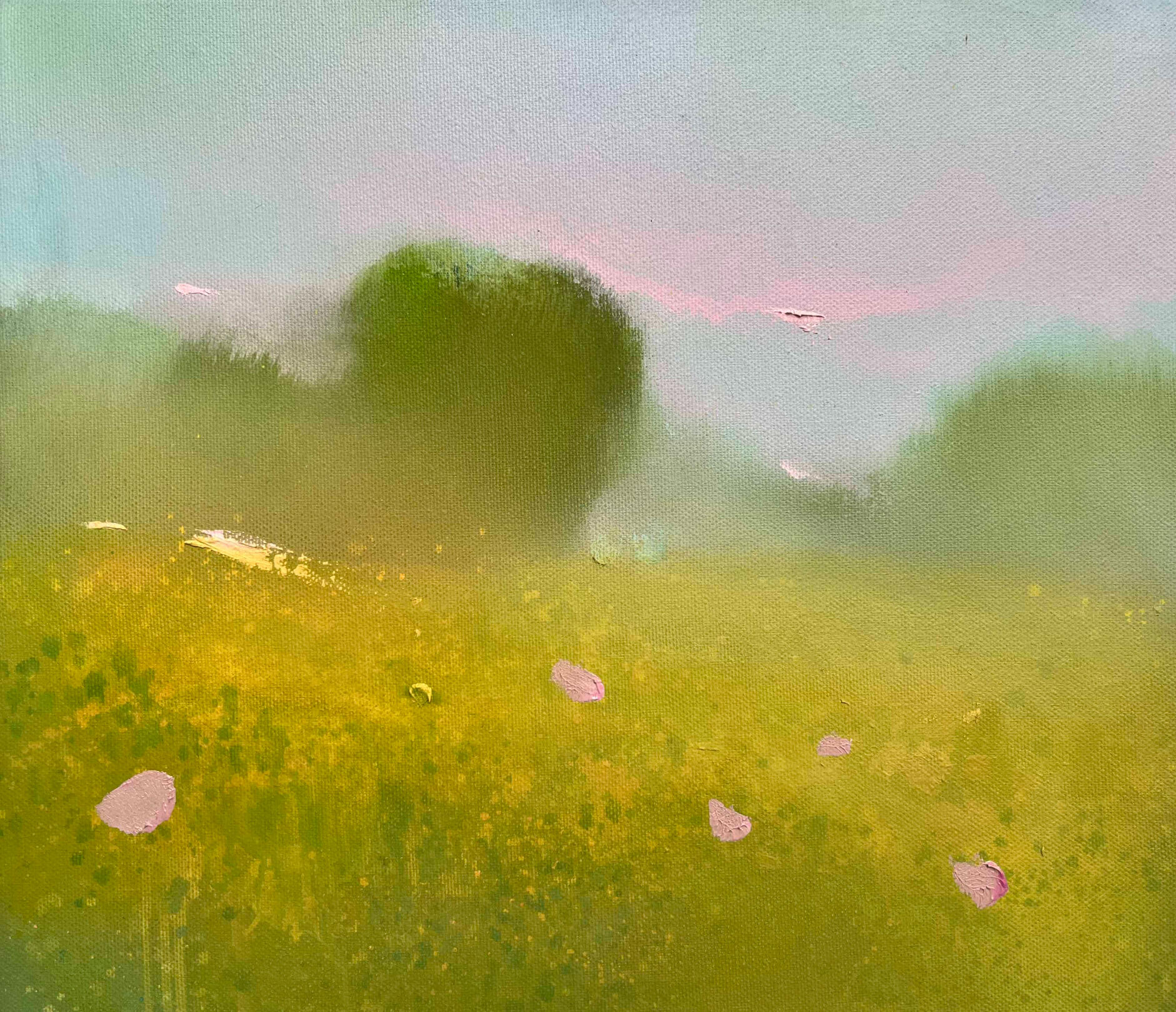 EARLY MIST 05 30x35cm $345